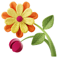 Flores e presentes
