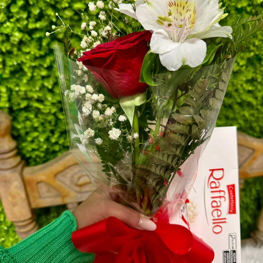 Kit Rafaello Mimo