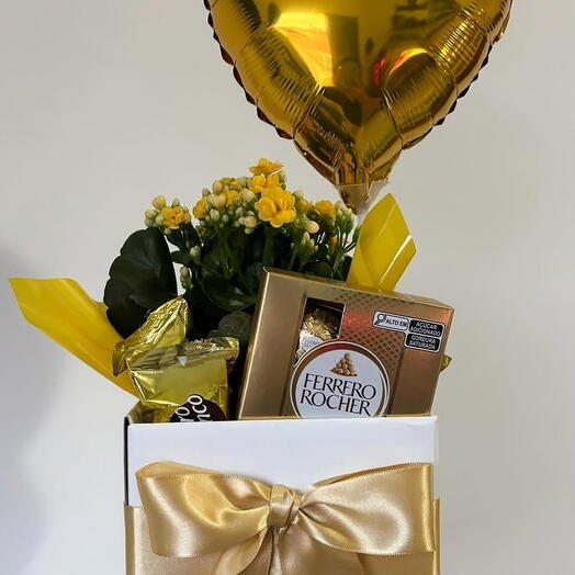 Encanto Dourado