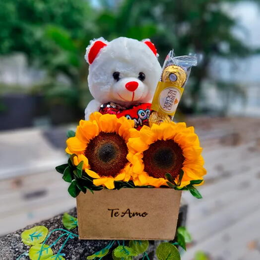 Box Meu Sol