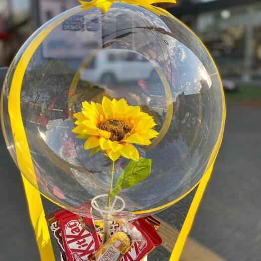 Girassol Bubble