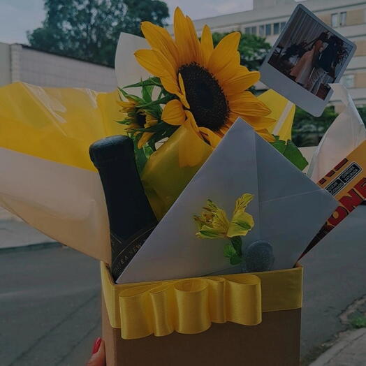 Box Lumiar