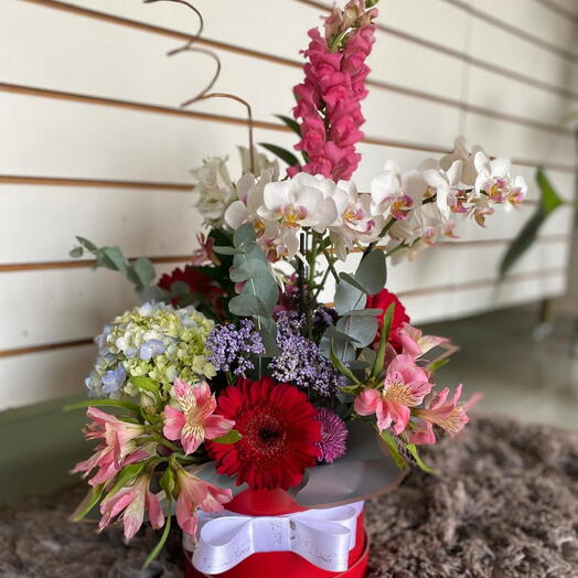 Orquidea na Box