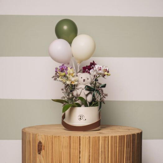 Box Florescer - Maternidade Orquideas