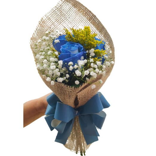 Buque Rosa Azul